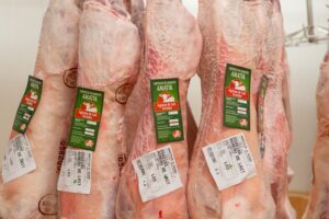 Photographie de carcasses de mouton, suspendues dans un abattoir.
