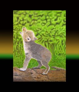 petit-loup-stephane-miaule