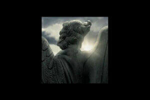 loup-saigne-lad-ange-decu