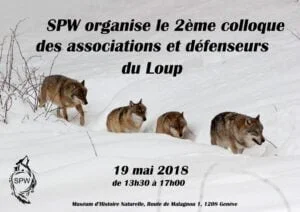 loups-loup-suisse