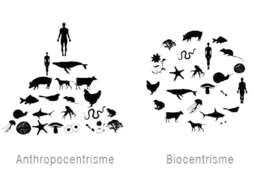 biocentrisme-bienveillance
