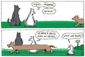 humour-loup-teckel