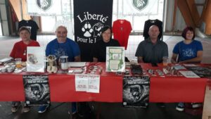 klan-loup-grand-est-equipe