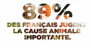droit-animaux-devoirs-homme