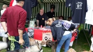 kdlge-fete-animaux-chiens-2019