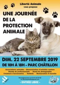 Illustration de la journée de la protection animale, avec un chient et un chat.