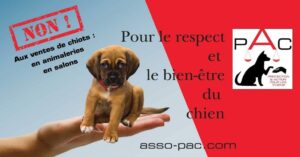 association-pac