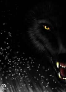 Wolf-Obsydienn-Graphics