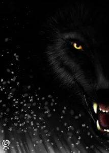 Wolf-Obsydienn-Graphics