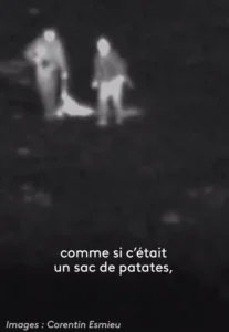 loup-gap-abattu-juillet-2020