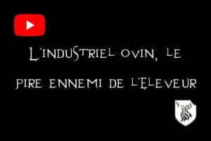 Vignette YouTube avec la phrase "L'industriel ovin, le pire ennemi de l'éleveur".