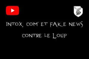 intox_com_fake_news_loup