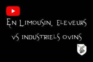 Vignette YouTube avec la phrase "En Limousin, éleveurs vs industriels ovins".